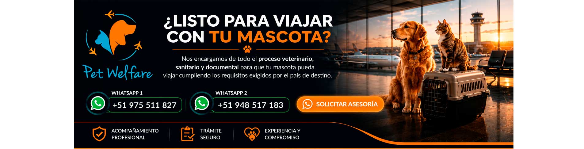 ¿Listo para viajar con tu mascota?