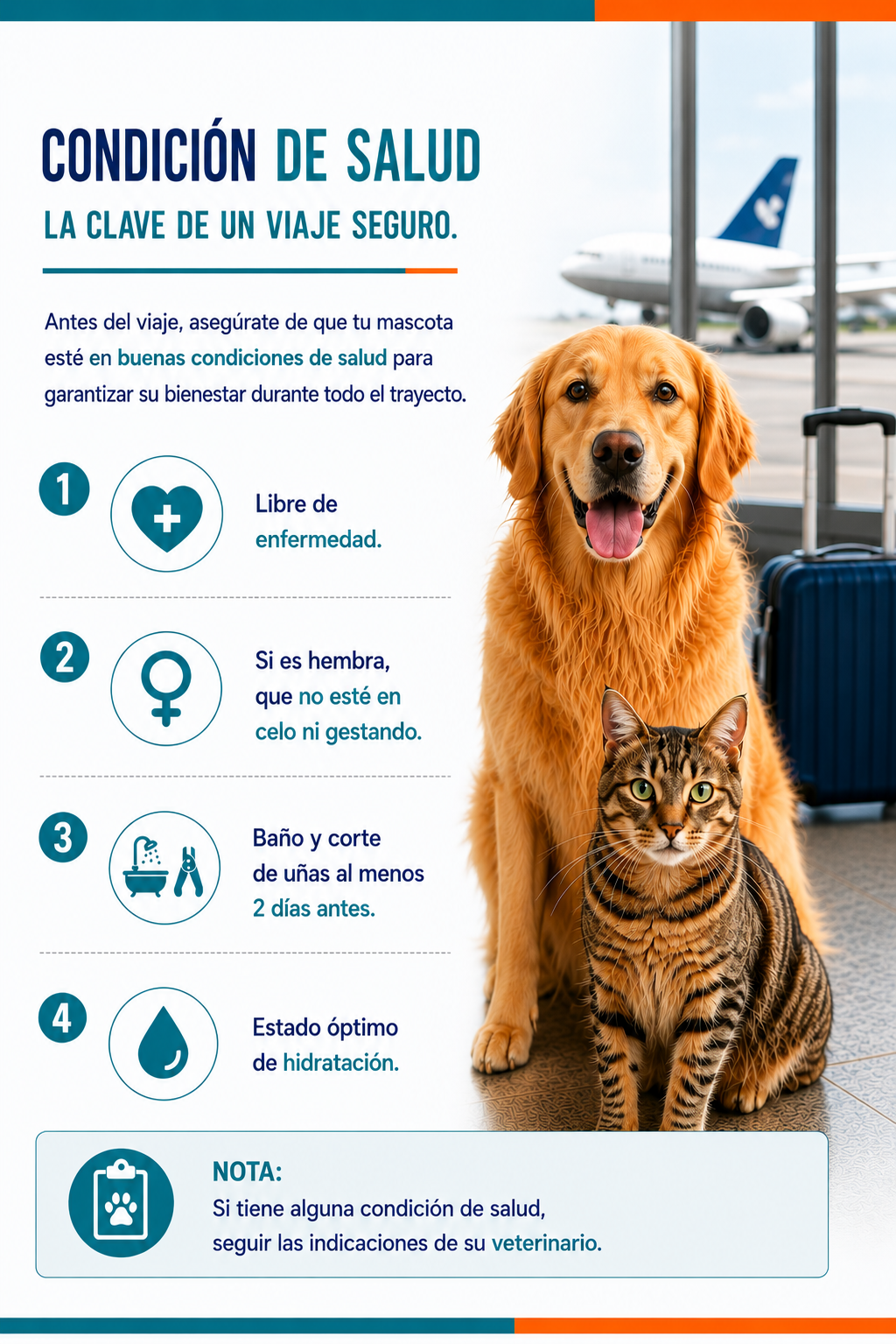 Estado de salud de la mascota